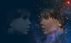 The Mirror Universe Hypothesis