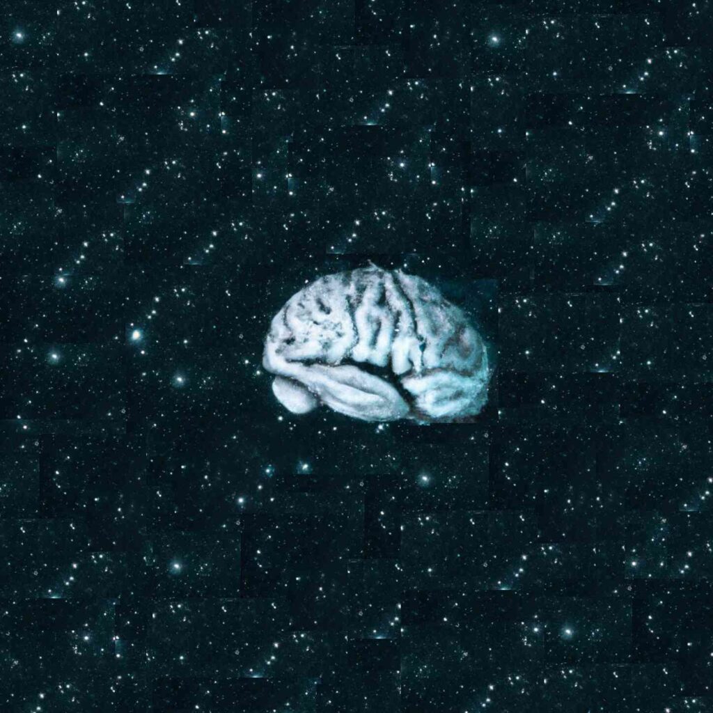 Boltzmann brain