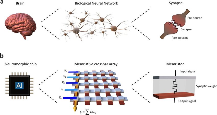 neuromorphic computing that mimics human brain