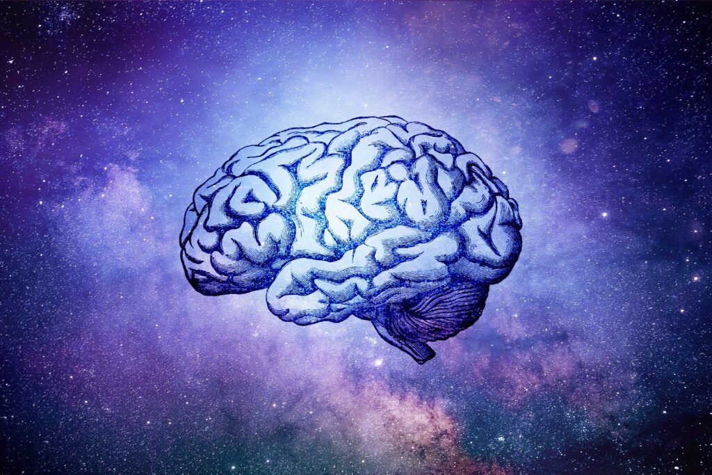 boltzmann brain